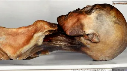 Cine este Otzi, omul ghețurilor și cum arată el, de fapt. Descoperirea lui a fost un boom pentru istoria noastră