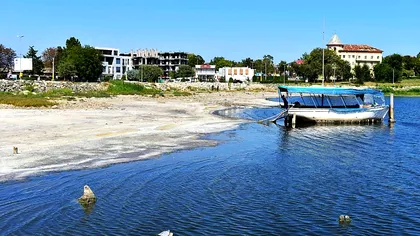 Vești proaste despre Lacul Techirghiol. Specialiștii trag semnalul de alarmă extrem de important!