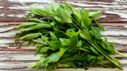 Ce beneficii îți aduce leușteanul. Planta aromatică minune în orice casă