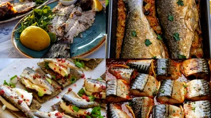 Cel mai sănătos tip de pește. Sortimentul de care să te ferești. Este cel mai nociv