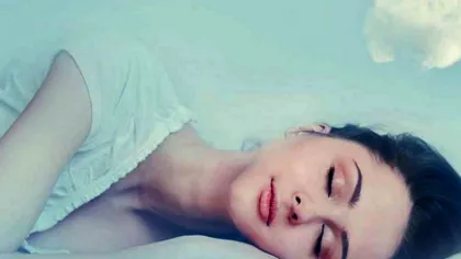 Ce înseamnă dacă visezi șobolani. Atenție, nu e de bine pentru nimeni