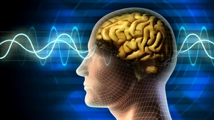 Cum afli dacă un om nu e atât de deștept pe cât se crede. Singurul cuvânt care îl dă de gol