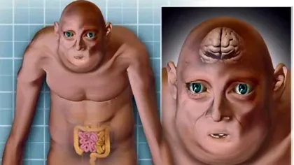 Cum vor arăta oamenii peste 1.000 de ani. Ce schimbări se vor produce în corpul omenesc