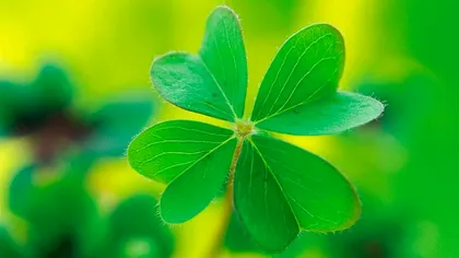 Care sunt numerele câștigătoare la Loto 6 din 49, azi, 8 octombrie 2020. Loteria Română pune la bătaie premii uriașe