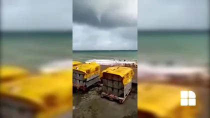 Apariție neobişnuită în largul Mării Negre. Ce spun specialiștii despre acest fenomen rar VIDEO