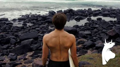 Bărbatul Taur, o mare enigmă a horoscopului. Ce calități și defecte are