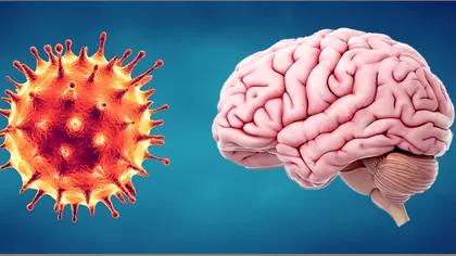 Ce se întâmplă cu creierul uman în timpul pandemiei. Verdictul șocant al medicilor