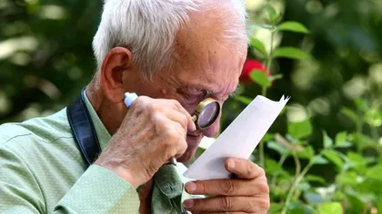 Se dau bani de la stat! Ce categorii de români vor primi 180 lei în plus