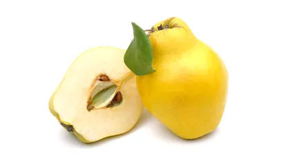 De ce sunt gutuile înecăcioase și alte 10 curiozități despre fructele-vedetă ale toamnei