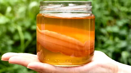 Kombucha, băutura pe care toți românii ar trebui să o bea. Ce beneficii miraculoase are pentru sănătate