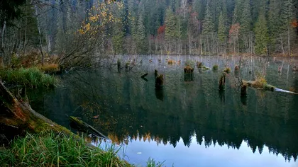 Locul genial din România, știut de puțini oameni. Este pe lista celor mai frumoase din Europa