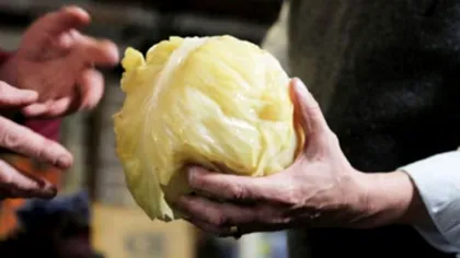 Cea mai bună varză murată, secretul localnicilor din Milișăuți. Rețeta perfectă, doar aici se face așa