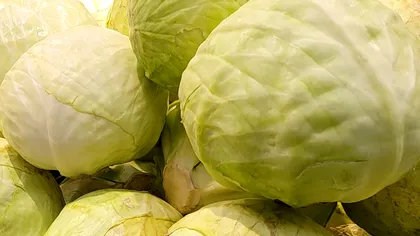 Varza murată fără floare. Ce secrete sunt și greșeala pe care o fac multe gospodine, din păcate