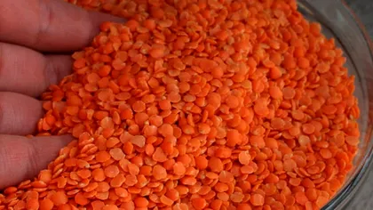 Ce se întâmplă în corpul tău dacă mănânci linte. Efectele miraculoase ale acestui aliment