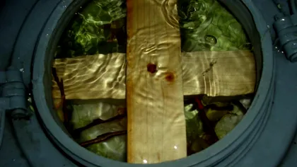 Când se pune varza la murat, de fapt. Gospodinele au doar 2 zile pe an la dispoziție