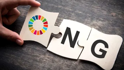 Cum înființezi un ONG. De ce acte ai nevoie, cât costă și cât durează