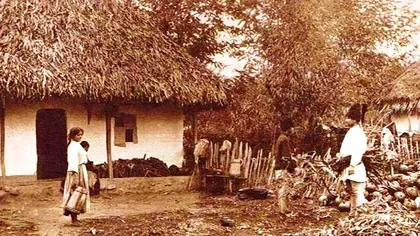 Cum se fereau țăranii de boli, fără să ia medicamente. Secretul lor s-a aflat