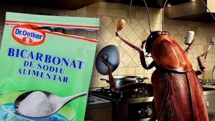 Ce se întâmplă dacă pui bicarbonat și zahăr în camerele tale. Cel mai util truc pentru toți românii de la bloc