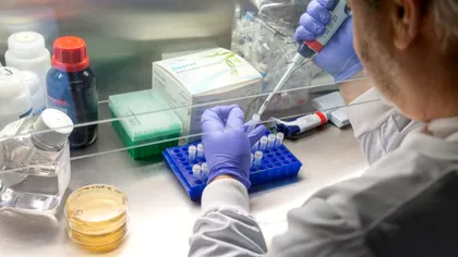 Cum a fost creat vaccinul anti-covid-19 atât de repede? Imaginile video care spun adevărul