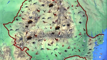 România are comori inestimabile pe care le ignoră. Cele mai rare viețuitoare care trăiesc pe teritoriul nostru