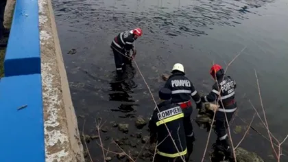 Crimă teribilă în Constanța. Un bărbat și-a bătut și înjunghiat iubita, iar mai apoi a aruncat-o vie în Dunăre