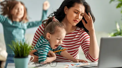 Descoperire uluitoare în casele din România. Cercetătorii au fost luați prin surprindere