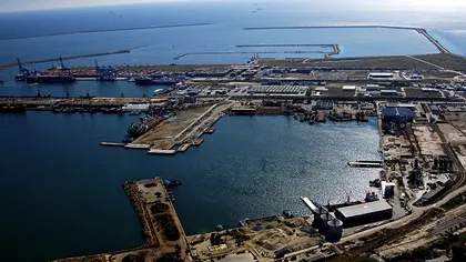 Animale moarte, cu gripa aviară. Ce s-a întâmplat chiar azi la Constanța