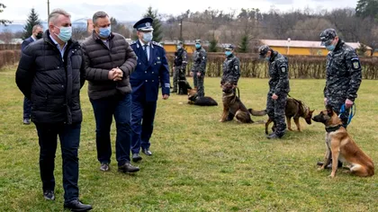 Câinii antrenaţi pentru depistarea persoanelor infectate cu SARS-CoV-2, aduși pe un mare aeroport din țară. Lucian Bode: 