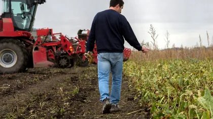 Lovitură cruntă pentru fermierii români. Ce se întâmplă cu subvențiile promise