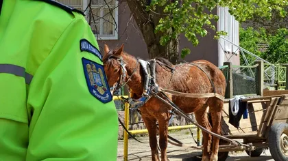 Ce a descoperit Poliția în căruța unor localnici. Valorează 10.000 de euro