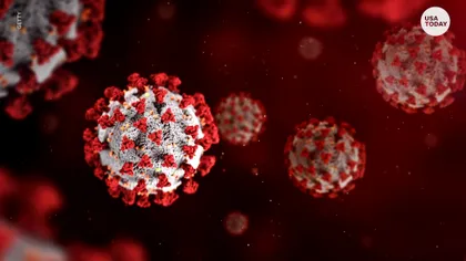 Când vine valul 4 al pandemiei de covid-19, de fapt. Un profesor de microbiologie face anunțul trist