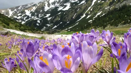 Vremea pe 1 martie. Anunțul meteorologilor, ce temperaturi avem în prima zi a primăverii