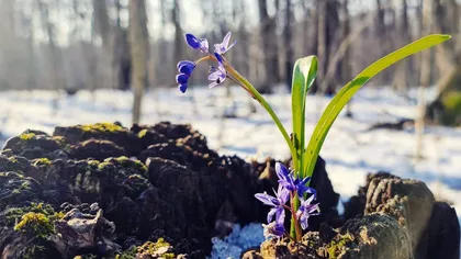 Meteo. Urcă temperaturile în termometre, dar vin ploile peste noi. Ce zone sunt vizate