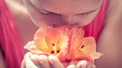 Plantele care te ajută să îți recapeți mirosul. Toți românii trebuie să le consume, preventiv