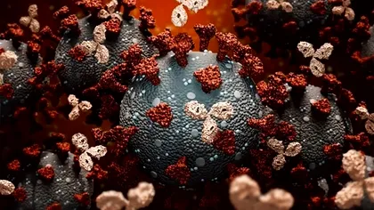 Ce au descoperit specialiștii din Suceava despre covid-19, de fapt. Anunțul a fost făcut chiar azi