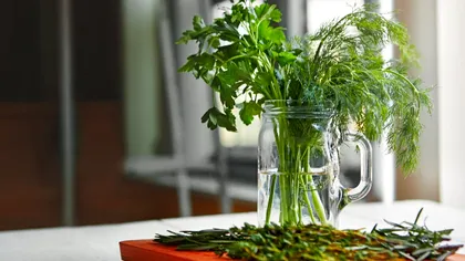 Cum revitalizezi verdeața ofilită, de fapt. 3 trucuri geniale și simple de la gospodinele adevărate