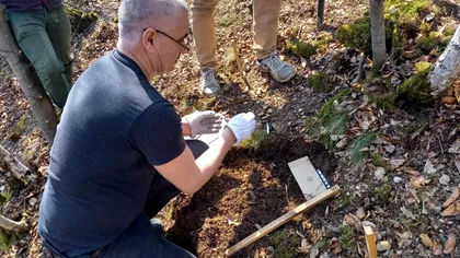 Descoperire istorică la baza cetății de la Stârciu. Erau ascunse sub pământ, de peste 2.000 de ani