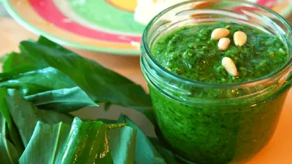 Leguma pe care toți românii trebuie să o mănânce primăvara. Ce efecte magice are ”usturoiul ursului”