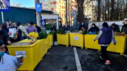 Tarabe gratuite pentru acești români. Decizia finală a unei primării de sector din București