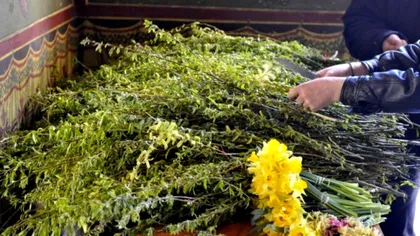 Ce semnificație are, de fapt, duminica de Florii. Românii au uitat aceste detalii importante