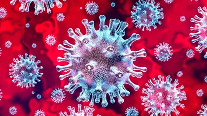 Virusul extrem de periculos care face ravagii în India. Se răspândește mai repede decât covid-19