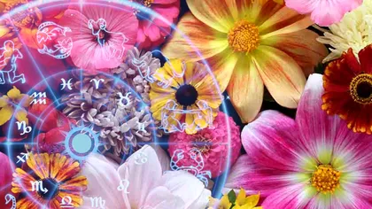Ce flori preferă fiecare zodie din horoscop. Doar un nativ vrea trandafiri