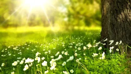 Meteo iunie 2021. Ce temperaturi vom avea în prima lună a verii