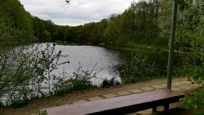 Ce s-a întâmplat cu lacul cu nuferi din Ipotești, considerat unul dintre cele mai frumoase locuri din Moldova: ”Au o comoară de care nu le pasă”