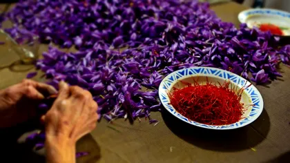 Cu ce e bine să combini șofranul. E unul dintre cele mai scumpe condimente din lume