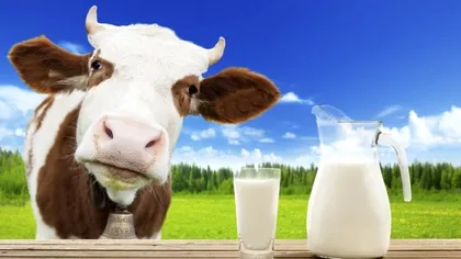 Cu ce înlocuiesc românii laptele acum. Toți au început să se 'bată' pe aceste produse