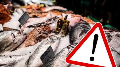 Descoperire șocantă despre peștele cumpărat de români. Atenție când mergeți la supermarket