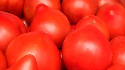 Pericolul ascuns în roșiile țuguiate consumate de români. Specialiștii trag un semnal de alarmă VIDEO