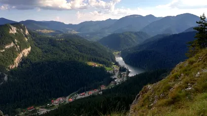 Premieră istorică pentru România. Ce a apărut în Parcul Naţional Cheile Bicazului-Hăşmaş VIDEO