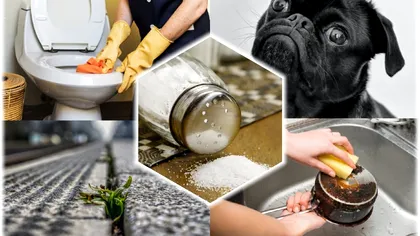 Trucuri utile cu sare pentru casa și grădina ta. Cât de genial este acest ingredient